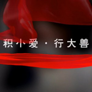 积小爱行大善（骑豹郎）